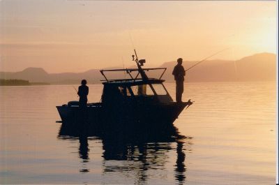 boat charters sfs